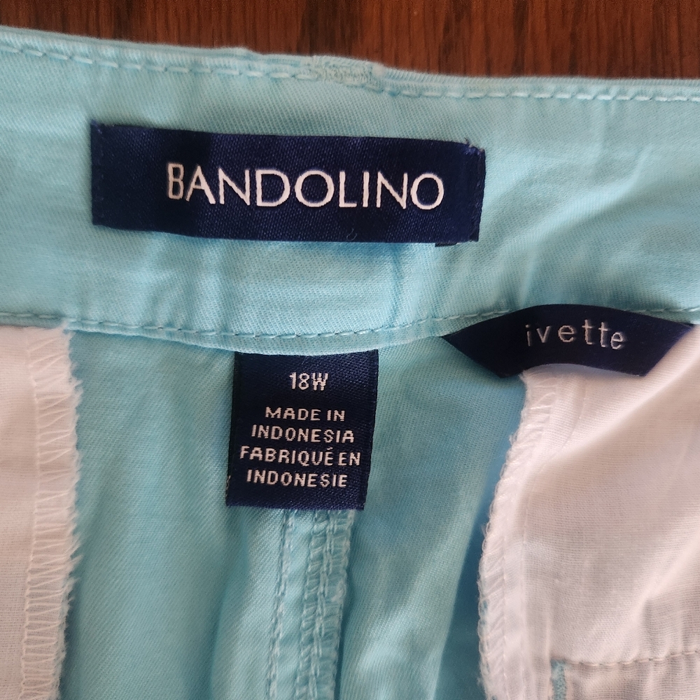 Lot of 3 Belk shorts NWT Rafaella, gently worn Kim Rogers and Bandolino 18W - Picture 9 of 16